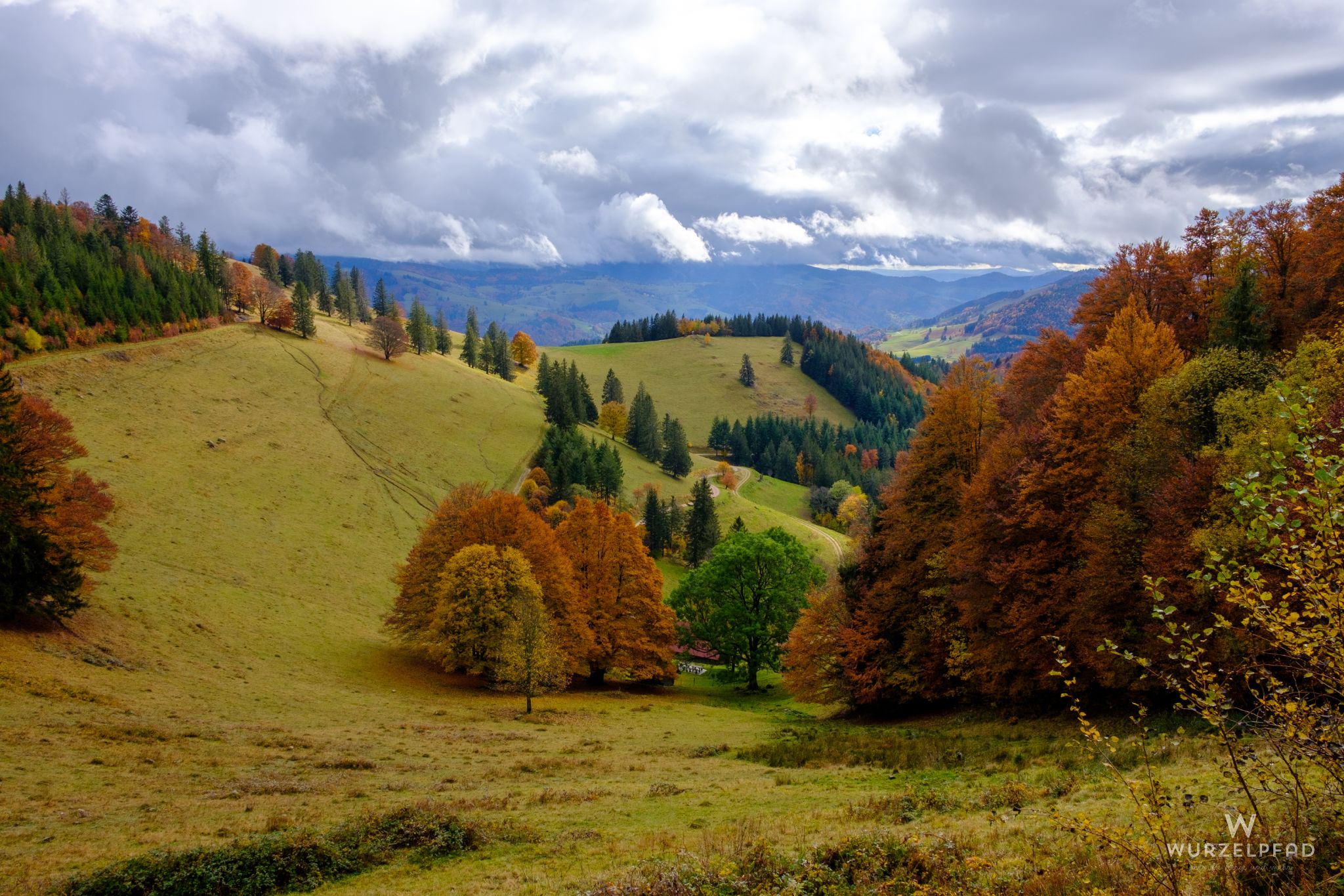 Abstieg nach Schönau